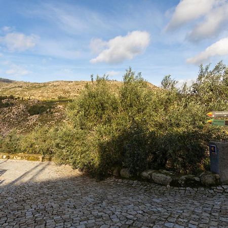 Cosy Remodeled Apartment In The City Center Fundao Bagian luar foto